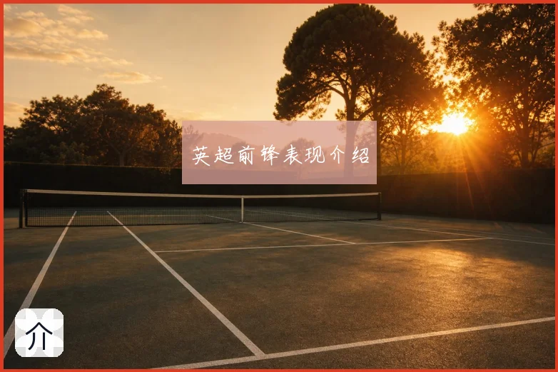 英超前锋表现介绍